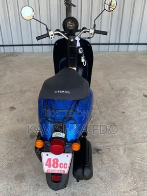 Honda Today 2024