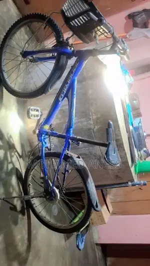 Tomahawk Bicycle