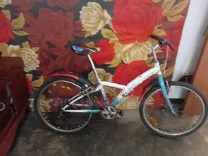 Trek Bicycle