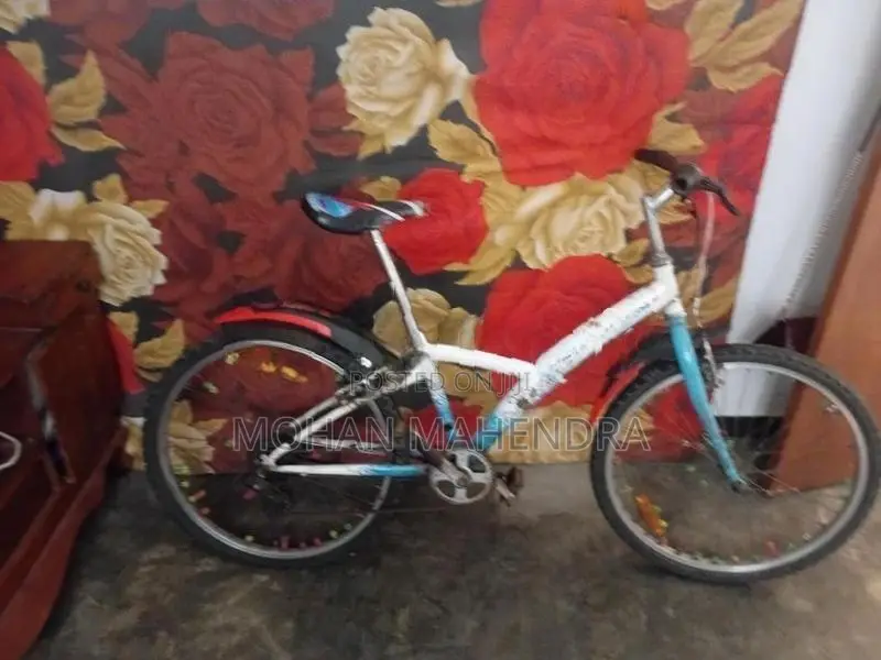 Trek Bicycle