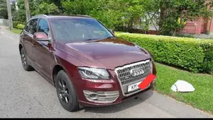 Audi Q5 2010