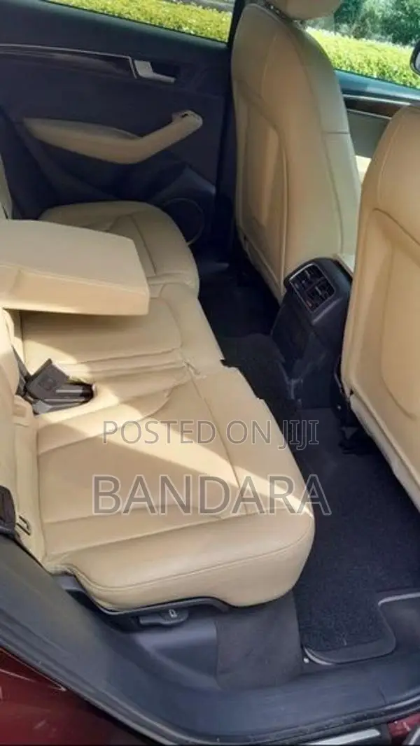 Audi Q5 2010