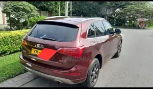Audi Q5 2010