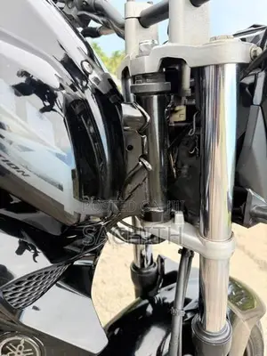 Yamaha FZs V2 2019