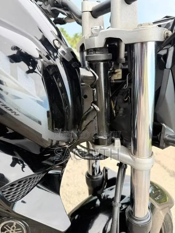 Yamaha FZs V2 2019