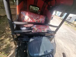 TVS King 2015