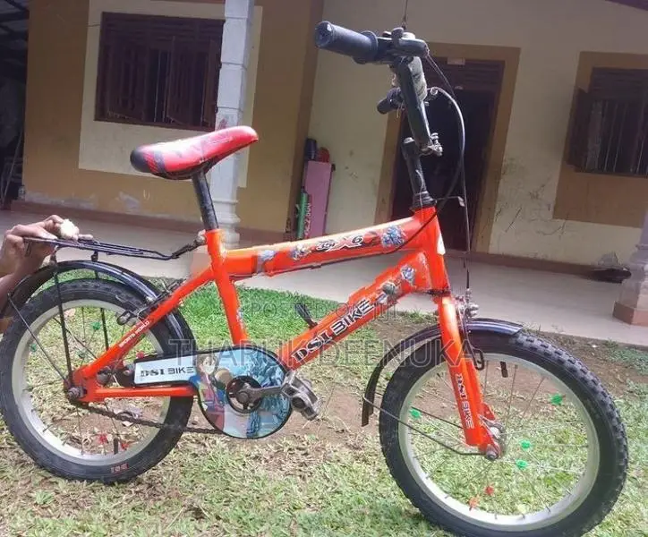 Dsi 16 Inch Kid's Bicycle