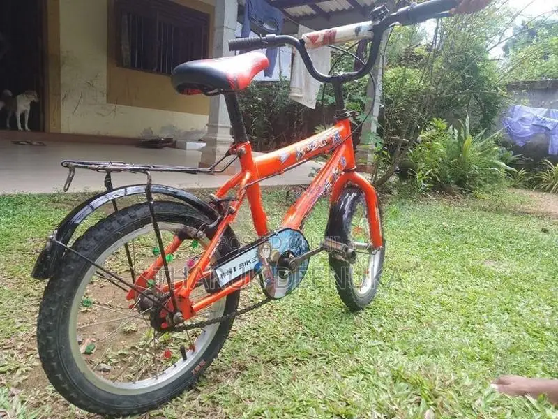 Dsi 16 Inch Kid's Bicycle