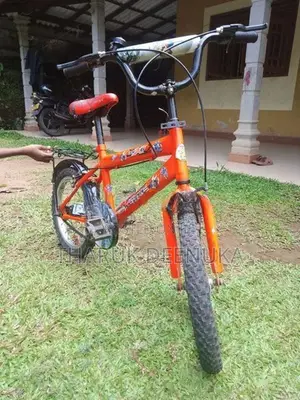 Dsi 16 Inch Kid's Bicycle
