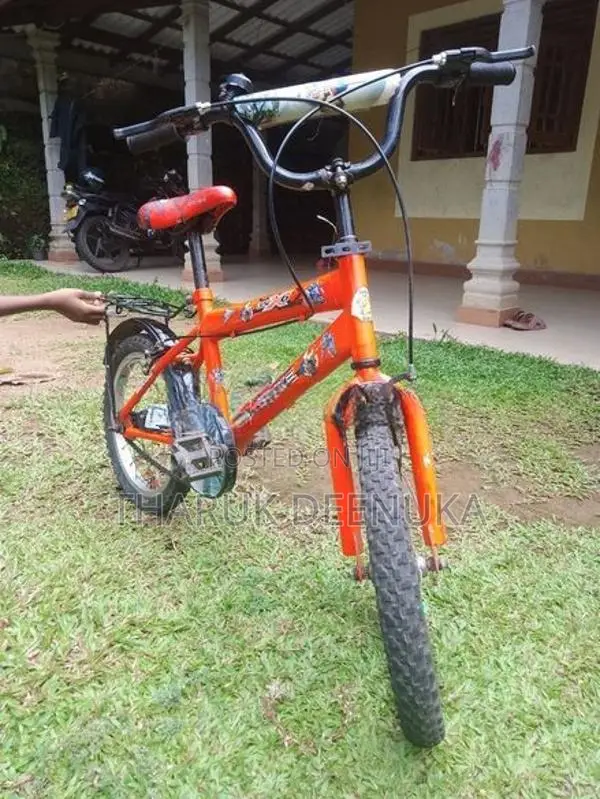 Dsi 16 Inch Kid's Bicycle