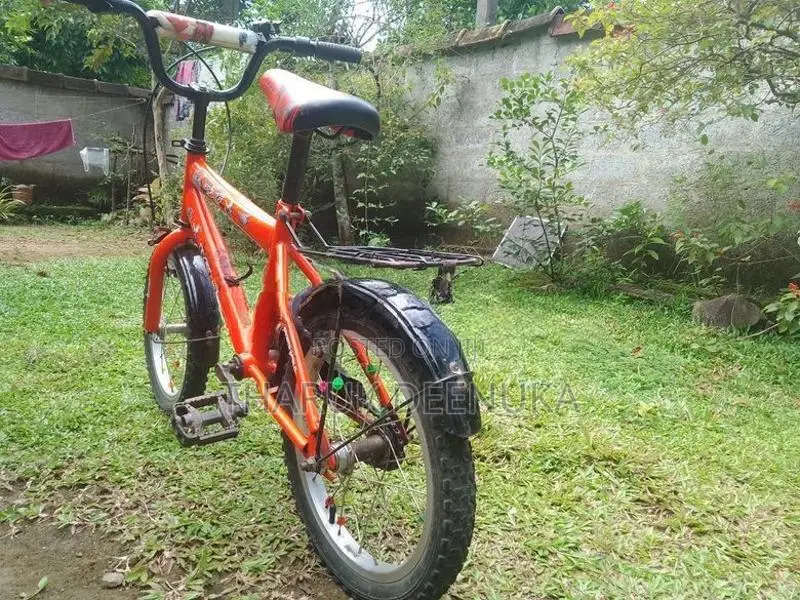 Dsi 16 Inch Kid's Bicycle