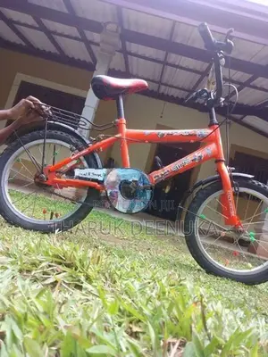 Dsi 16 Inch Kid's Bicycle