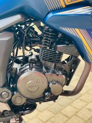 Yamaha FZ S Anniversary 2019