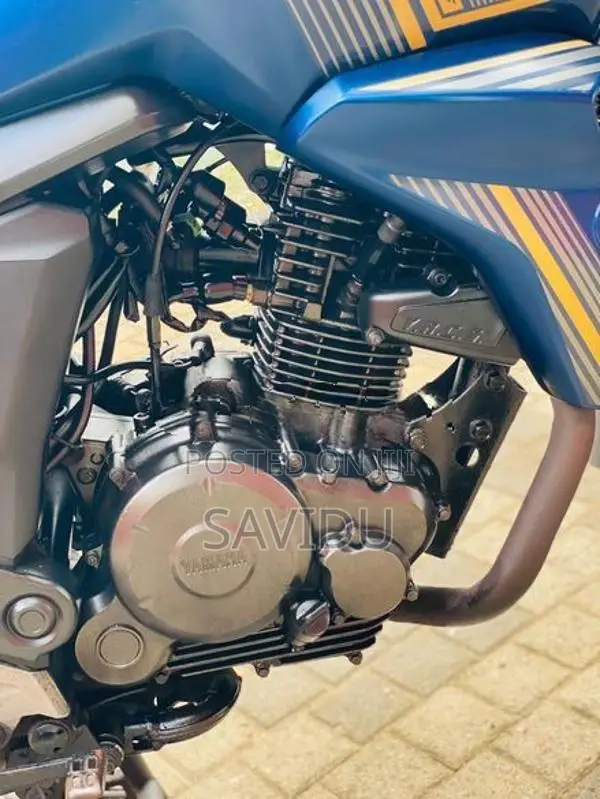 Yamaha FZ S Anniversary 2019