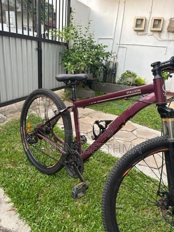 Stallion Sport Bicycle