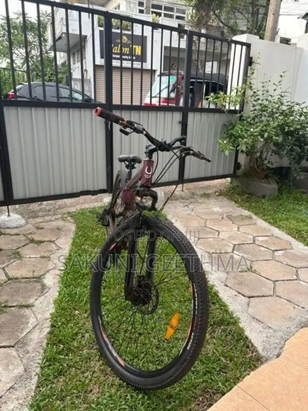 Stallion Sport Bicycle