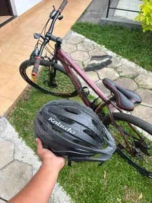 Stallion Sport Bicycle
