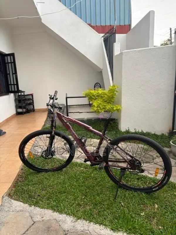 Stallion Sport Bicycle