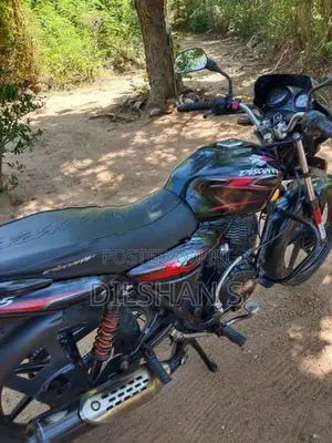 Bajaj Discover 125 2010