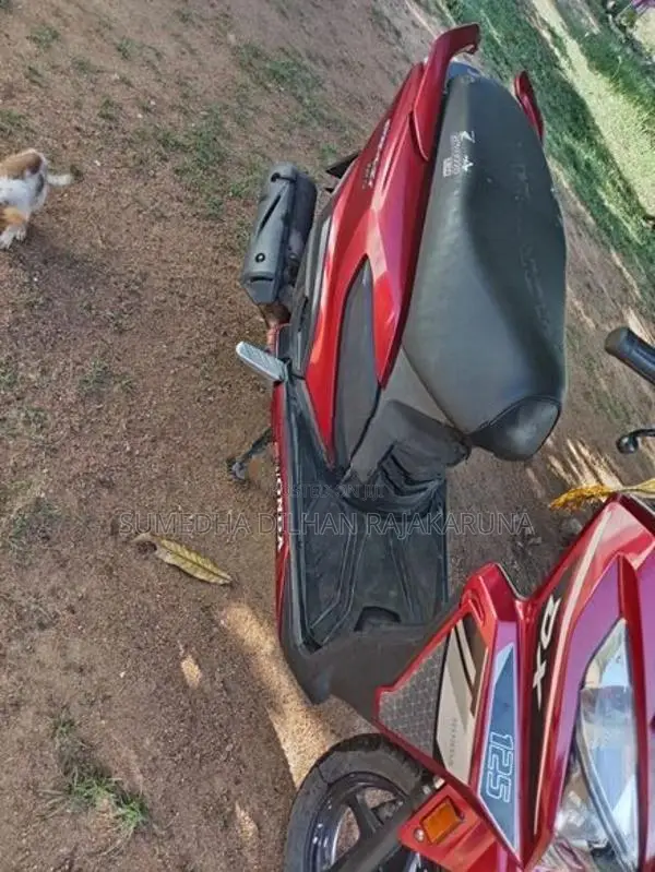 Honda Grazia 2019