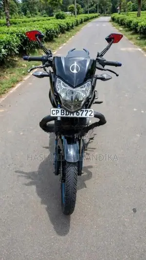 Bajaj Pulsar 135 2015