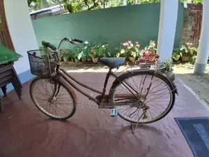 Japanese Ladies Bicycle
