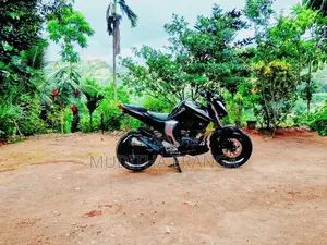 Yamaha FZ 2017