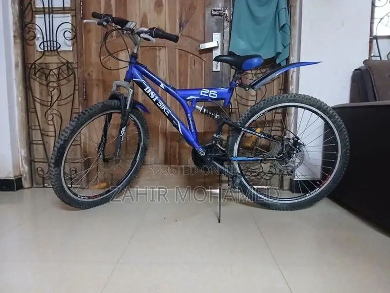Dsi Bicycle
