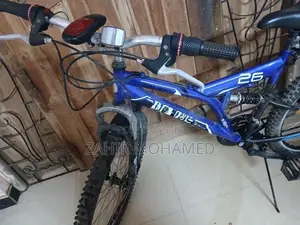 Dsi Bicycle