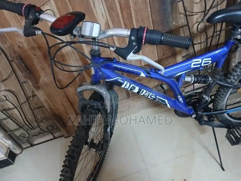 Dsi Bicycle