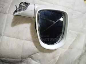 Nissan Leaf Side Mirror