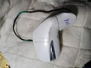 Nissan Leaf Side Mirror
