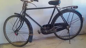 Lumala Bicycle