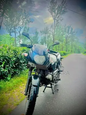 Bajaj Pulsar 150 2015