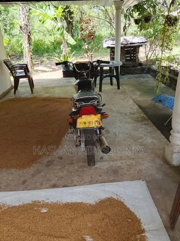 Bajaj CT100 2015