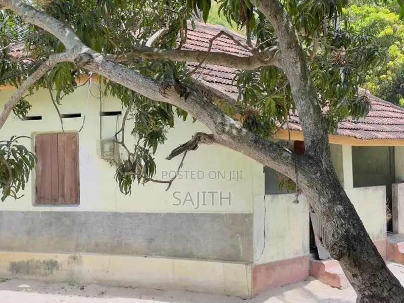 Land for Sale in Mahiloor Kaluwanchikudy