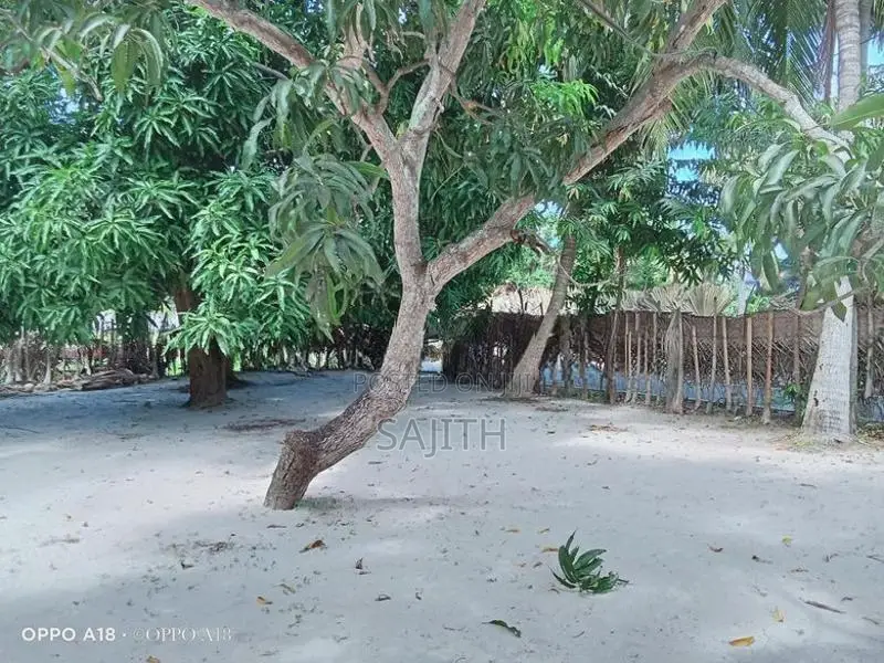 Land for Sale in Mahiloor Kaluwanchikudy