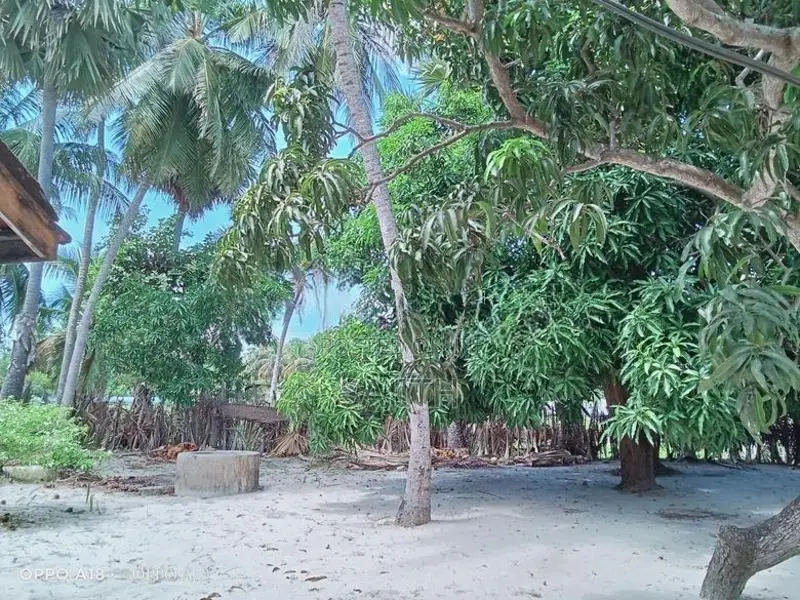 Land for Sale in Mahiloor Kaluwanchikudy