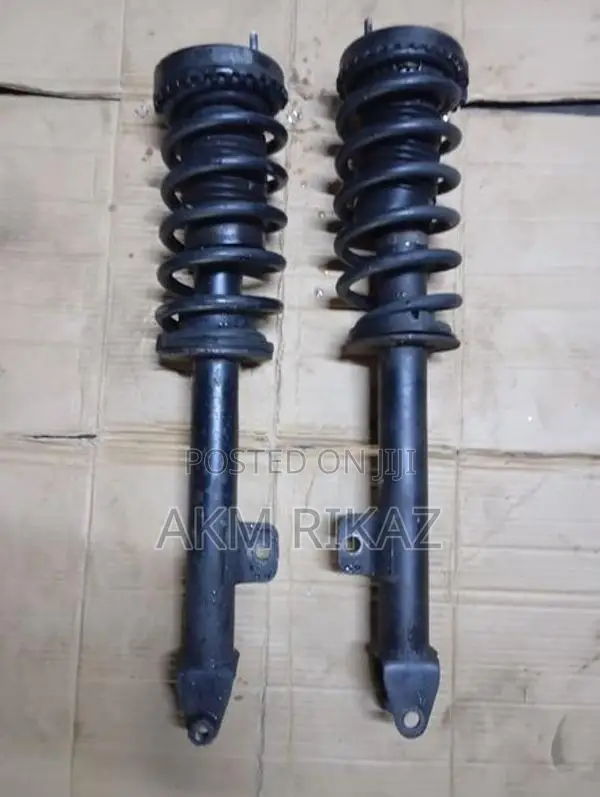 Chrysler 300 Repaired Gas Shock Absorbers