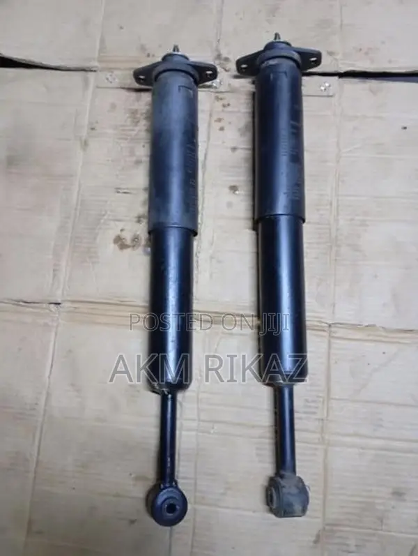 Chrysler 300 Repaired Gas Shock Absorbers