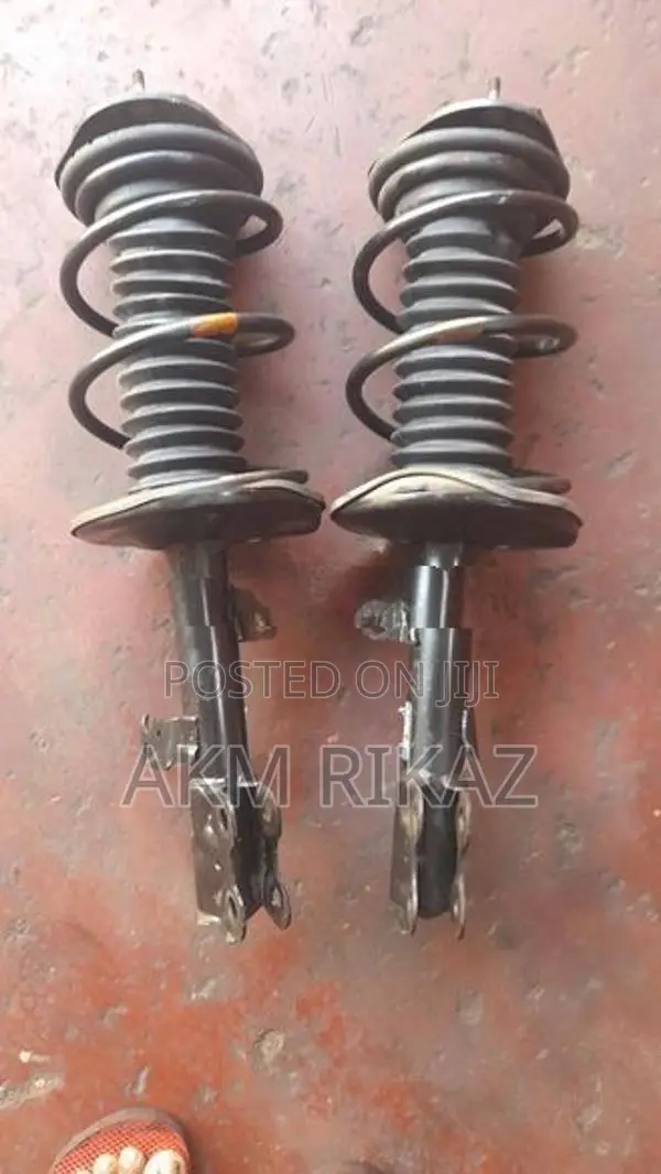 Axio141 Repaired Gas Shock Absorbers