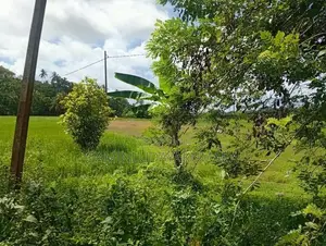 Valuable Residential Land For Sale Galle