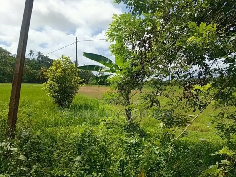 Valuable Residential Land For Sale Galle
