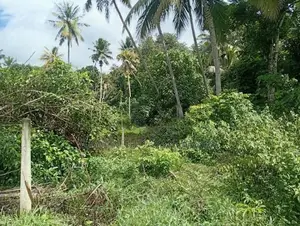 Valuable Residential Land For Sale Galle