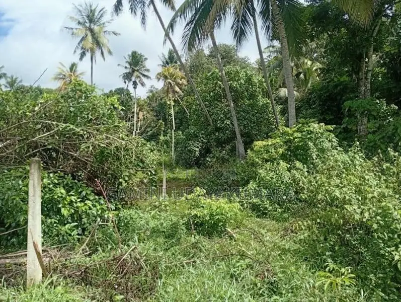 Valuable Residential Land For Sale Galle