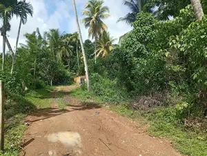 Valuable Residential Land For Sale Galle