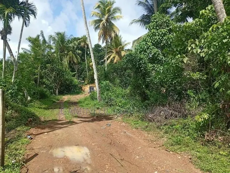 Valuable Residential Land For Sale Galle