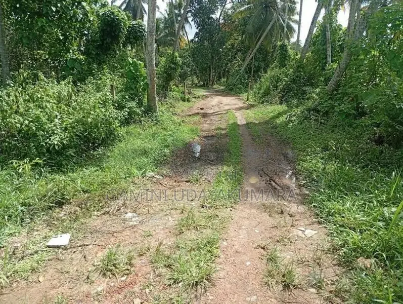 Valuable Residential Land For Sale Galle