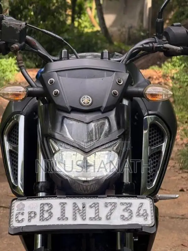 Yamaha FZS V3 2019