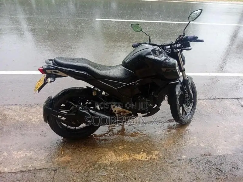 Yamaha FZ S 2019